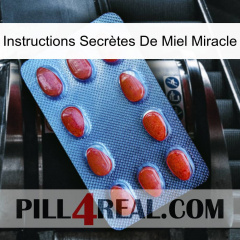Instructions Secrètes De Miel Miracle 06